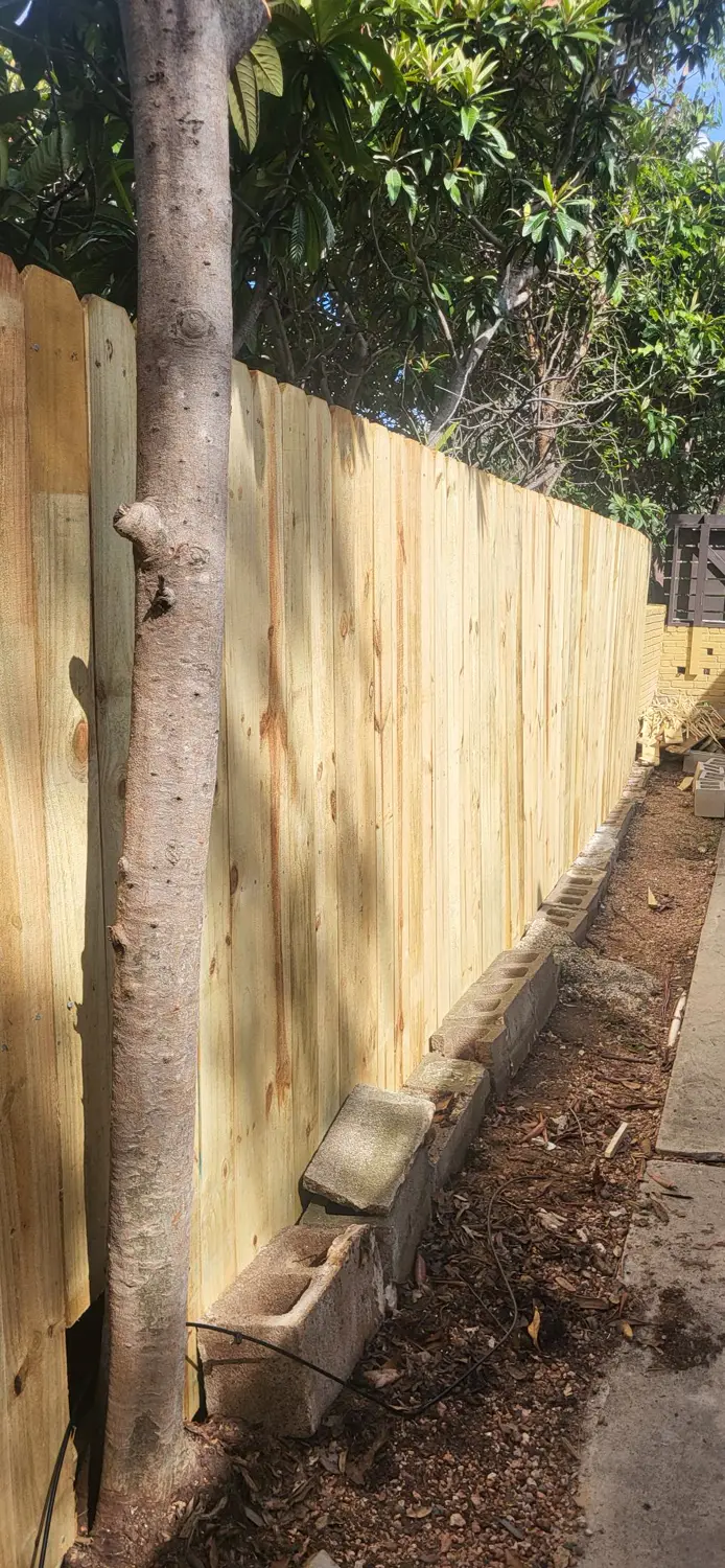 New privacy fence beside the tree