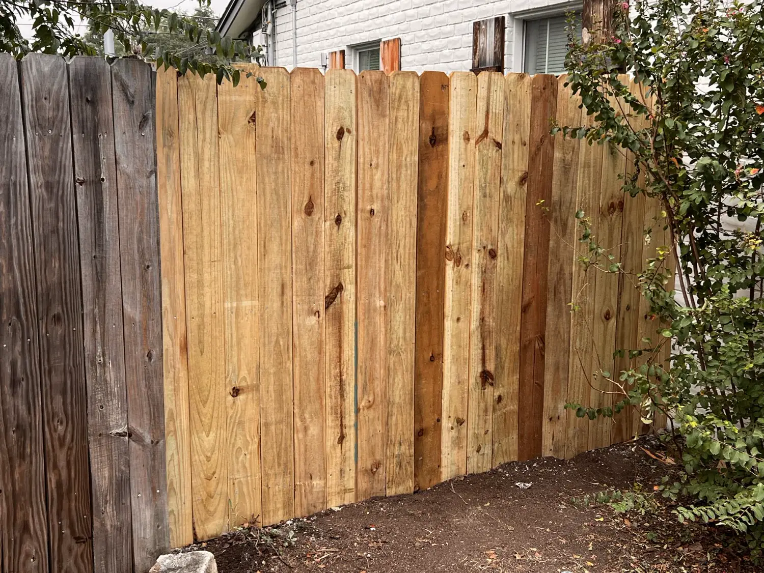 New privacy fence boards next to the old run